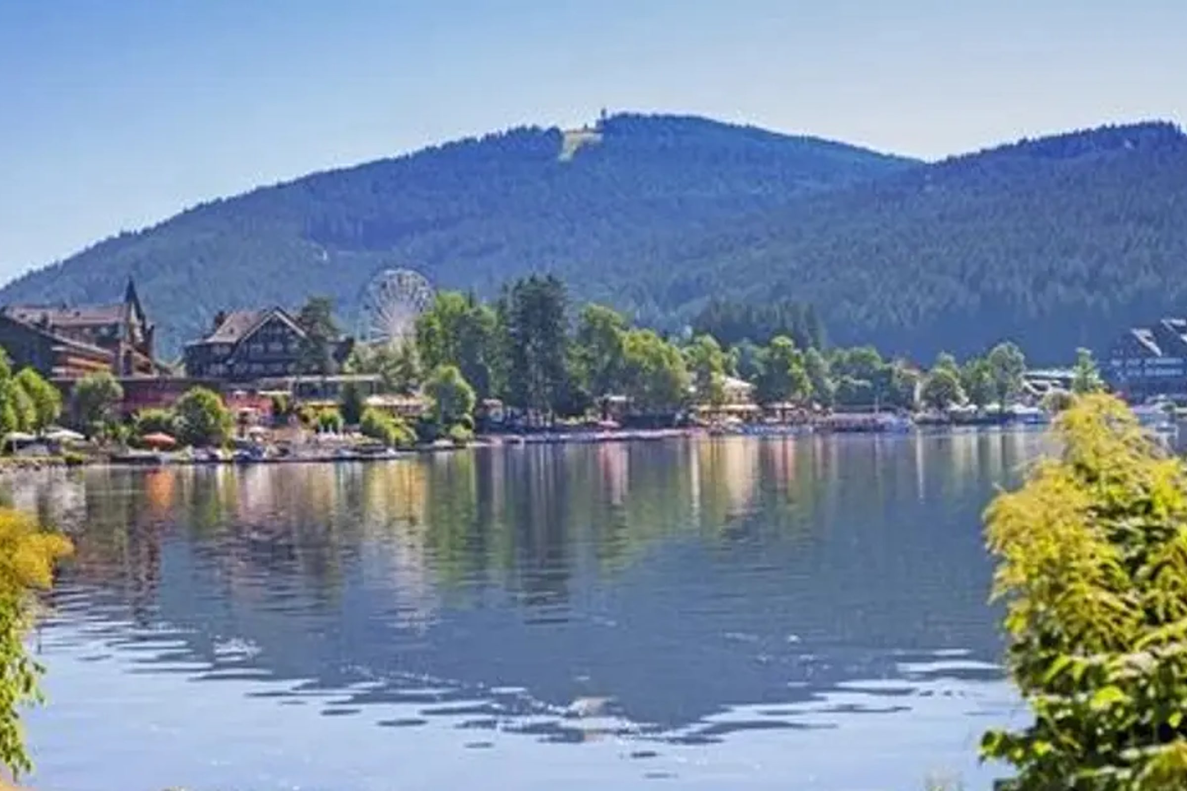 Black Forest and Rhine Falls Day Trip from Zurich